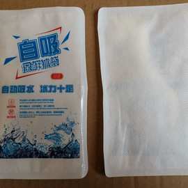 700ml生物冰袋 您的便攜式冷藏解決方案